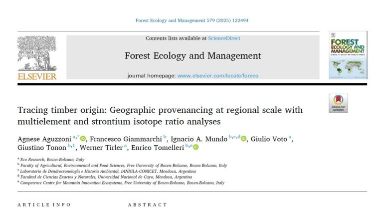 Der chemische Fingerabdruck des Holzes: Jeder Baum verrät seine Herkunft
