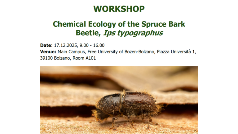 Workshop su Ips typographus: ricerca e strategie sostenibili per la gestione del bostrico